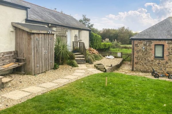 Swallows, Portscatho