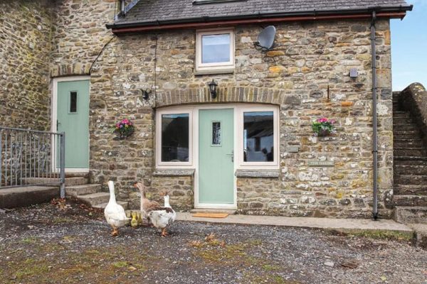 Teifi Cottage - Ffynnongrech Farm, Talley