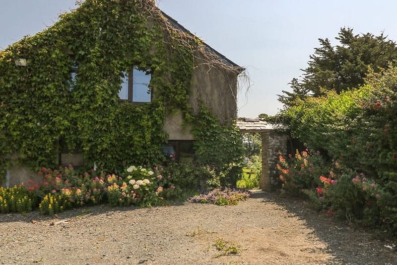 The Stable, Bude