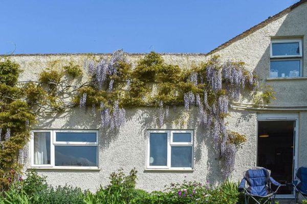 Thornes Farm Cottage, West Quantoxhead