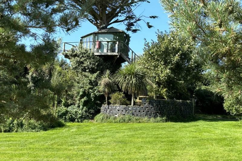Treehouse Hideaway, Bude