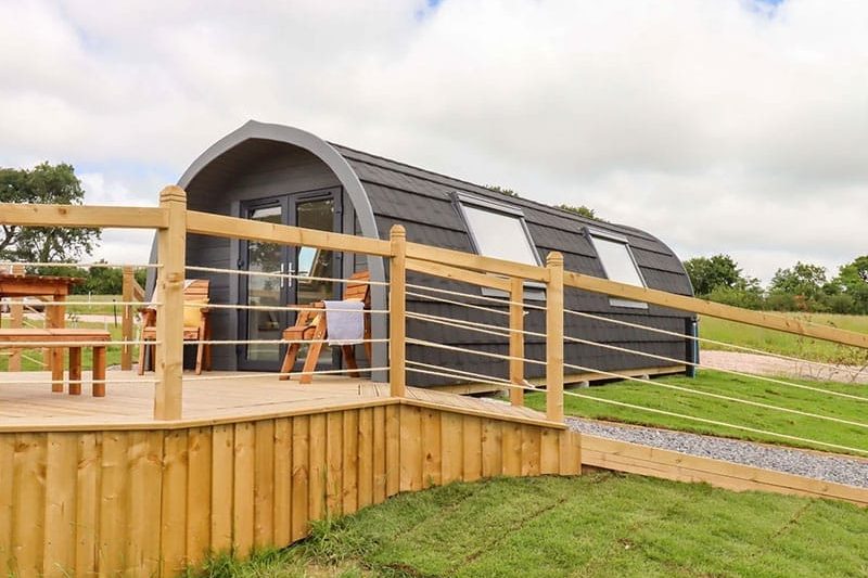 Under Oak Pod, Totnes