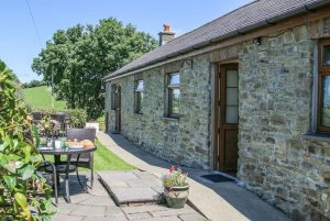 Y Dderwen, Mydroilyn